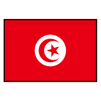 Túnez Qatar 2022