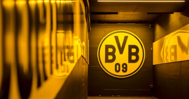 Borussia Dortmund 2024-2025